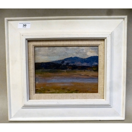 Lot 30        