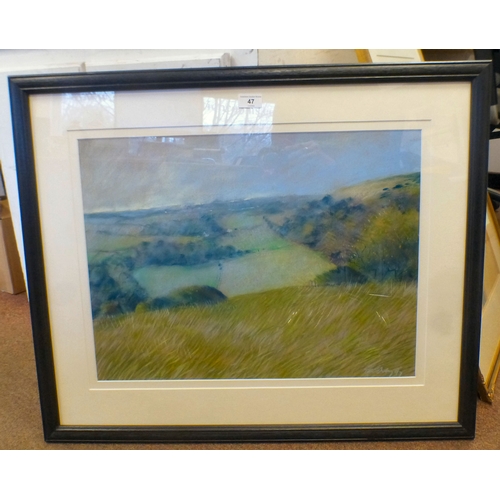 Lot 47        