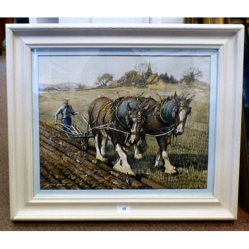 Lot 55        