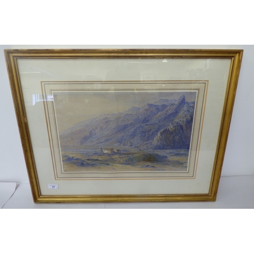 Lot 37        