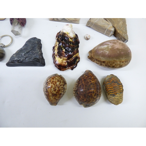 14 - Shells, rocks and minerals&nbsp; various forms