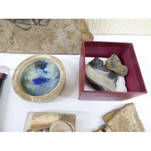 14 - Shells, rocks and minerals&nbsp; various forms