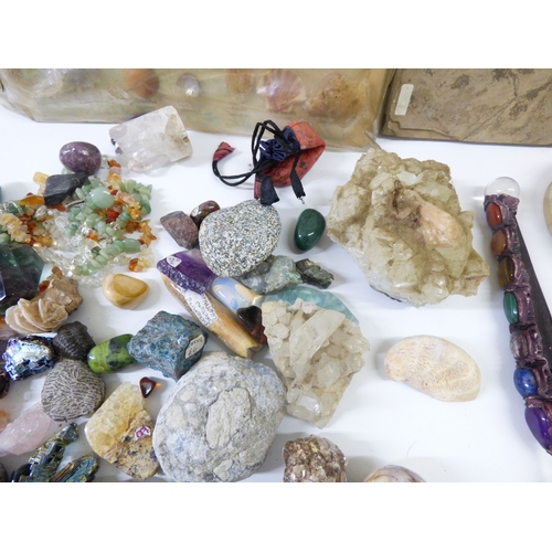 14 - Shells, rocks and minerals&nbsp; various forms