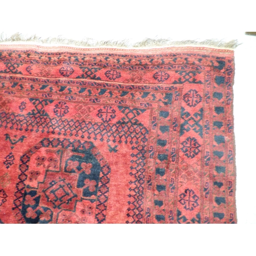 45 - An Afghan rug, decorated with hexagonal guls, stylised designs and a border, on a red ground  64
