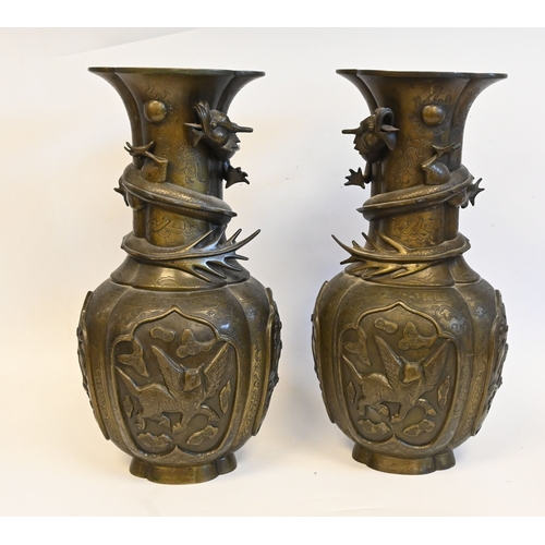 Lot 20        