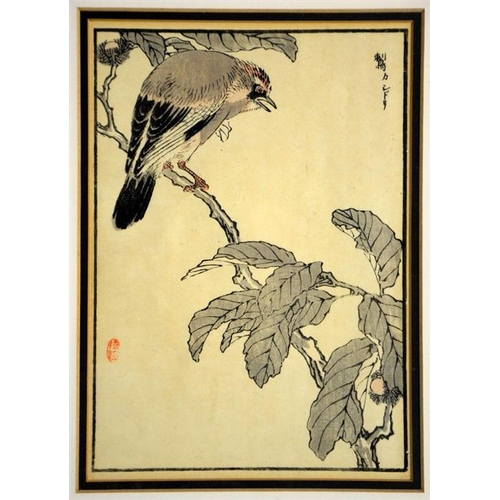 53 - Three Kono Bairei Japanese woodblock prints. 41cm x 34cm. Note: purchased from Libertys in 1991 (wi... 