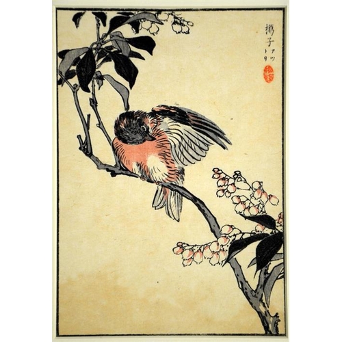 53 - Three Kono Bairei Japanese woodblock prints. 41cm x 34cm. Note: purchased from Libertys in 1991 (wi... 