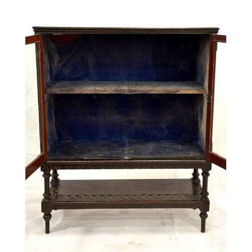 250 - A Victorian carved and stained pine display cabinet, double glazed doors with movable shelf and velv... 