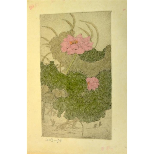 351 - † Elyse Ashe Lord (1900-1971), Water Lilies, hand coloured etching, signed proof, 32cm x 18.5cm, unf... 