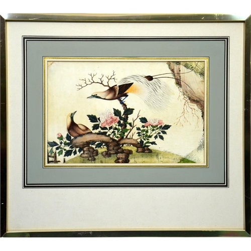 374 - Chinese School, Birds with Peony, watercolour, 19cm x 29cm, framed