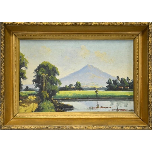 456 - 20th Century School, Vietnamese Landscapes, oil on canvas, a pair, unsigned,  27cm x 42cm, framed (2... 