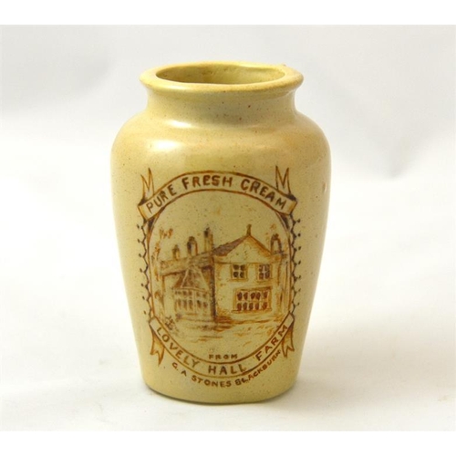 546 - A cream pot in Sepia from The Lovely Hall Farm, Blackburn 10.5cm high.