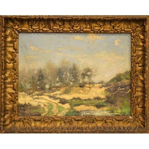 444 - Early 20th Century School, Pines and Sand Banks with Lake, oil on canvas board, unsigned, 43cm x 58c... 