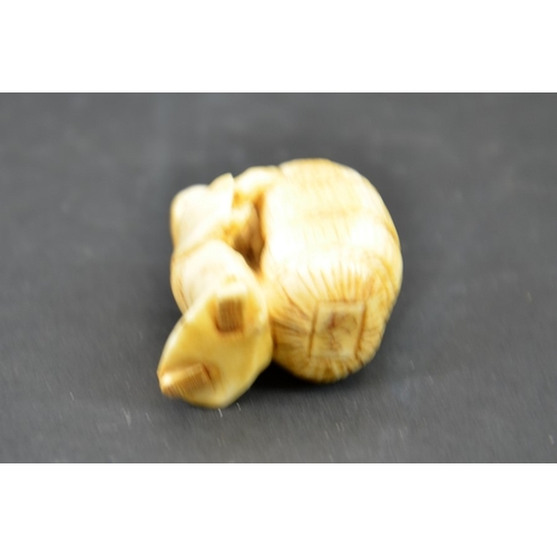 28 - λ A 19th century Japanese carved ivory netsuke, Meiji, modelled as small man with bag of wheat, 4cm ... 