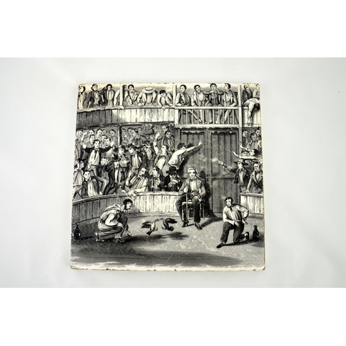 998 - A Minton cock fighting tile, transfer printed, circa 1880, moulded marks, 18cm square