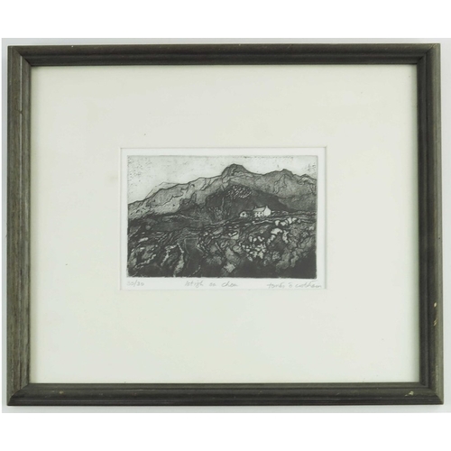 297 - Tomas O'Ciobhain (20th century), Istigh sa Chon, etching and aquatint, signed and numbered 30  of 30... 