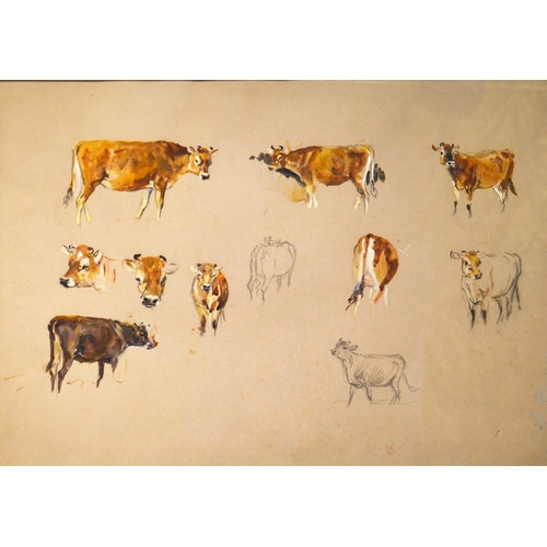 306 - Michael Lyne (1912-1989), Jersey Cows, watercolour, unsigned from studio collection, 31cm x 45cm, fr... 