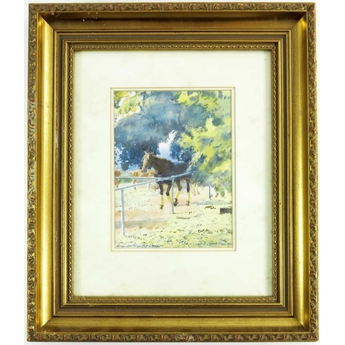 317 - Alexander Charles Jones (b.1959), Horses Training, watercolour, signed, 18cm x 14cm, framed