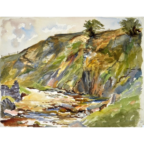 323 - Frank Taylor (20th century), Bog Near Bowes Moor, watercolour, signed, 27cm x 34cm, unframed