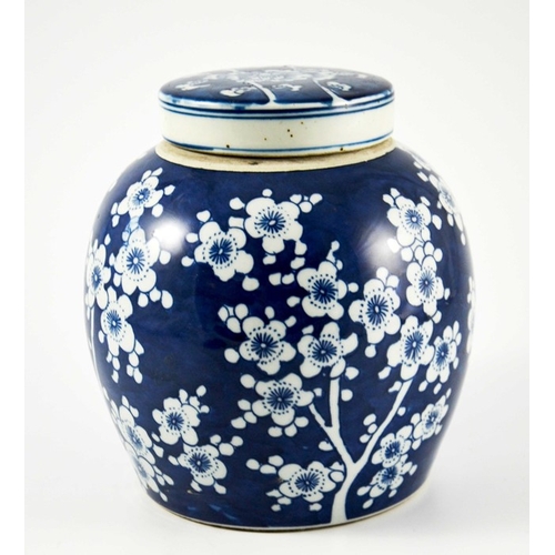 422 - A Chinese blue and white ginger jar and cover, painted with prunus blossom, 25cm high