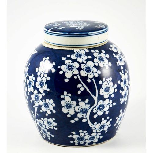 422 - A Chinese blue and white ginger jar and cover, painted with prunus blossom, 25cm high