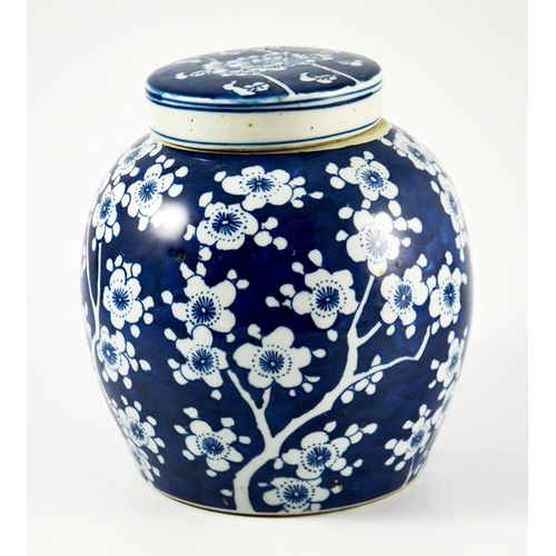 422 - A Chinese blue and white ginger jar and cover, painted with prunus blossom, 25cm high