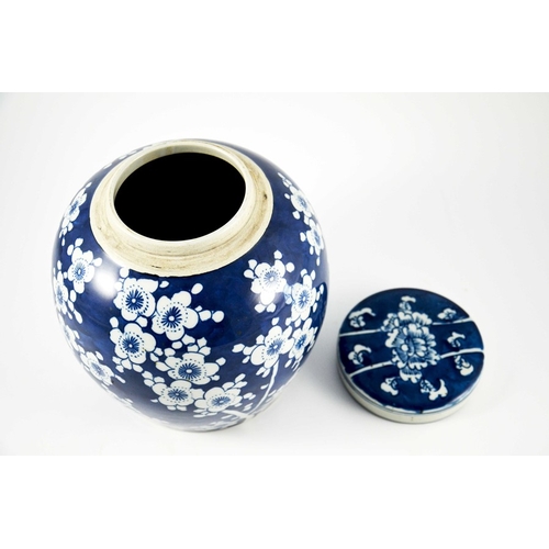 422 - A Chinese blue and white ginger jar and cover, painted with prunus blossom, 25cm high