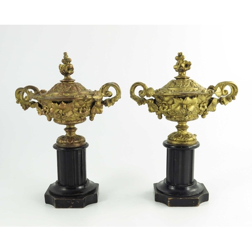 562 - A pair of gilt metal Warwick vases, with twin vine leaf cast handles, the body with entwined vines, ... 