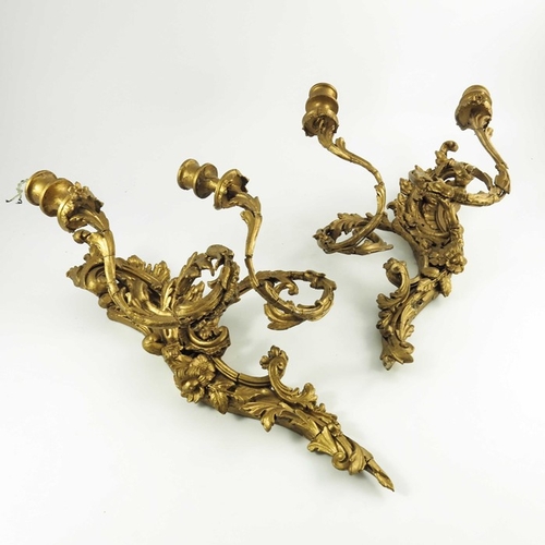 586 - A pair of 19th century double sconce gilded wall lights, scrolling foliate design, 53cm high (2)