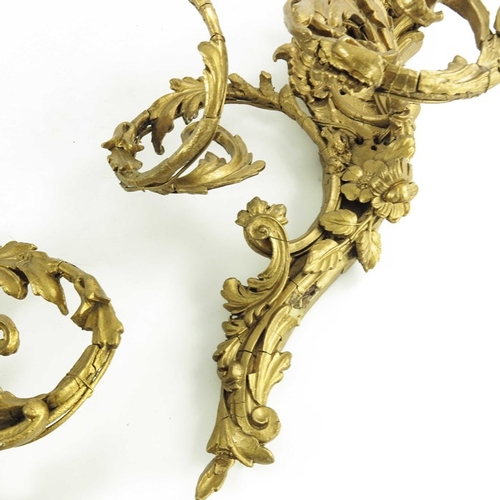 586 - A pair of 19th century double sconce gilded wall lights, scrolling foliate design, 53cm high (2)