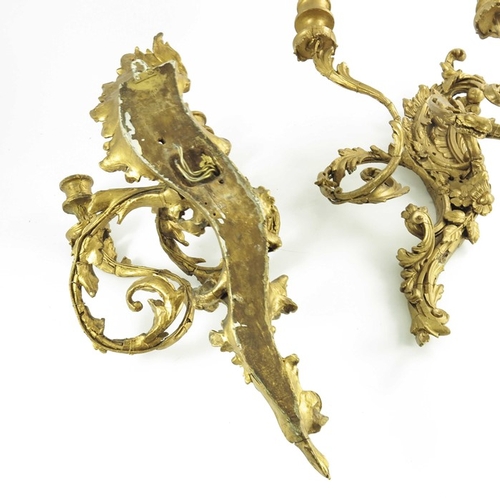 586 - A pair of 19th century double sconce gilded wall lights, scrolling foliate design, 53cm high (2)