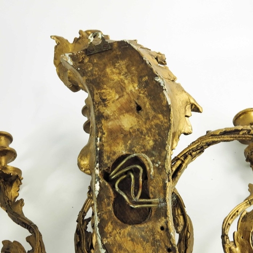 586 - A pair of 19th century double sconce gilded wall lights, scrolling foliate design, 53cm high (2)