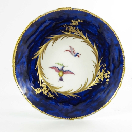 963 - A Sevres porcelain coffee can and saucer, circa 1800, painted with exotic  birds within gilt feather... 