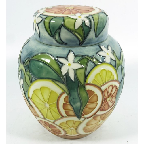 1057 - Jeanne McDougall for Moorcroft, a Florida ginger jar and cover, circa 1998, 20.5cm high