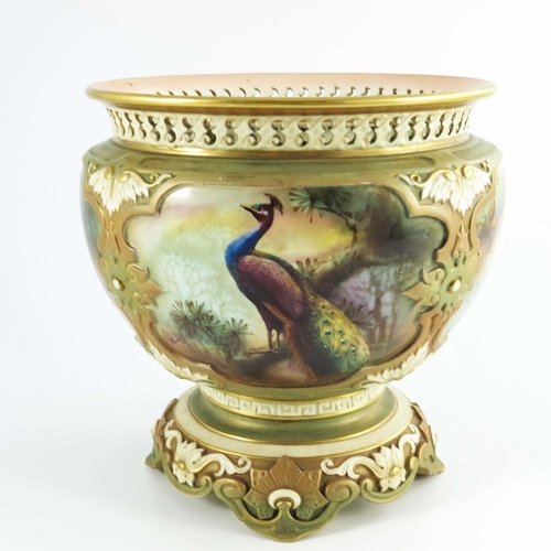 1490 - C.V. White for Royal Worcester, a hand painted and gilded porcelain jardinière, 1905, decorated in c... 