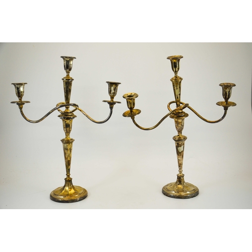 24 - A pair of Edwardian three branch silver candlebras, Walter Latham & Son, Sheffield 1910, 50cm high, ... 