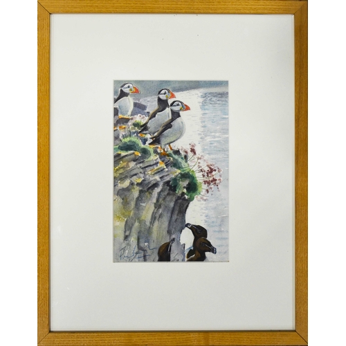 314 - Peter Partington SWLA (b.1941), Puffins on Skokholm, watercolour, signed, 27cm x 17cm, framed