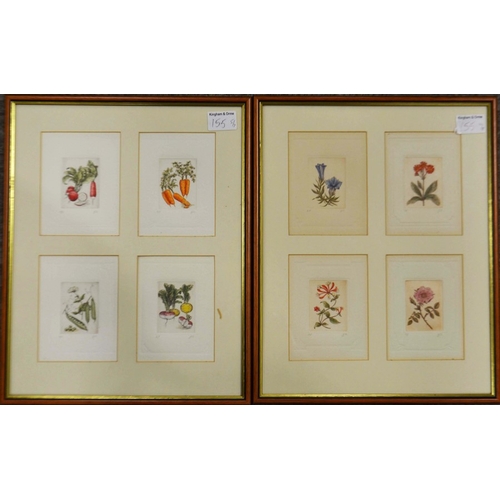 155 - Eight botanial studies framed as two, two colour tinted botanical book plates, and three other flowe... 