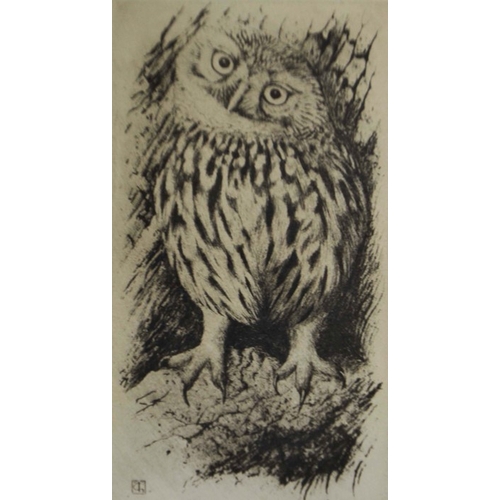 160 - TJ Greenwood, Little Owl, etching, a similar example, five botanical studies, a 19th century waterco... 