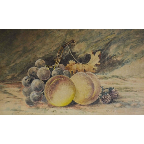 276 - W. Hale (19th century), Two Still life pictures, a pair of watercolours, signed, 13cm x 22cm, framed... 
