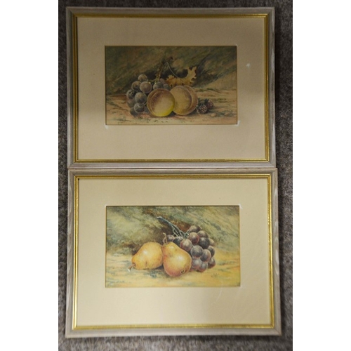 276 - W. Hale (19th century), Two Still life pictures, a pair of watercolours, signed, 13cm x 22cm, framed... 