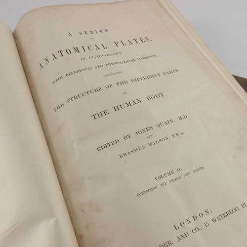 300 - Quain, Jones (1796-1865) and William James Erasmus Wilson (1809-1884), A Series of Anatomical Plates... 