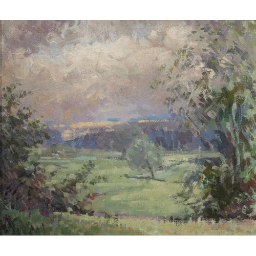 359 - Anthony Baynes (1921-2003), Windrush Valley, oil on board, label on verso, 30cm x 35cm, framed