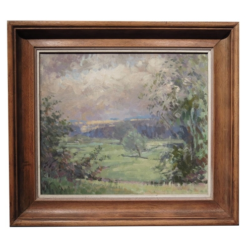 359 - Anthony Baynes (1921-2003), Windrush Valley, oil on board, label on verso, 30cm x 35cm, framed