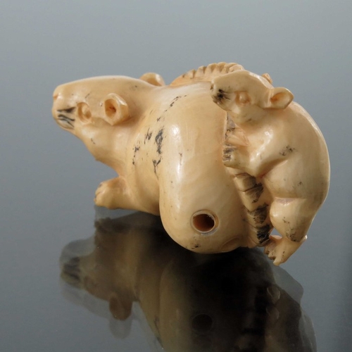 424 - A 19th century Japanese carved ivory netsuke, Meiji, modelled as two rats, signed, 5cm