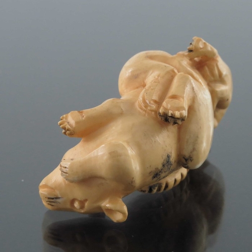 424 - A 19th century Japanese carved ivory netsuke, Meiji, modelled as two rats, signed, 5cm