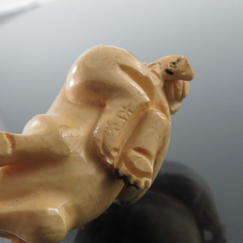 424 - A 19th century Japanese carved ivory netsuke, Meiji, modelled as two rats, signed, 5cm