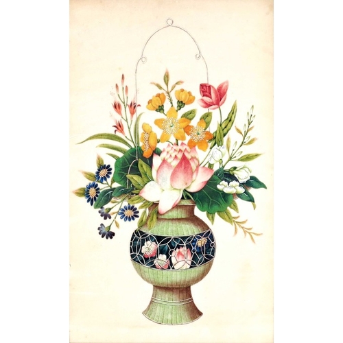 441a - China, a 19th century watercolour botanical study of a Chinese plant, 28cm x 17cm, framed