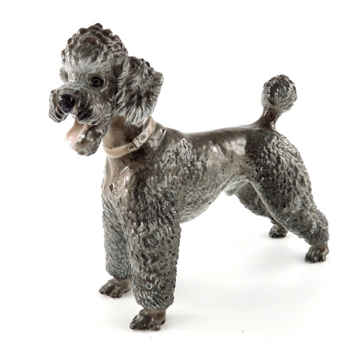 599 - Theodor Karner for Rosenthal, a figure of a poodle, impressed and printed marks 1211, 20cm high