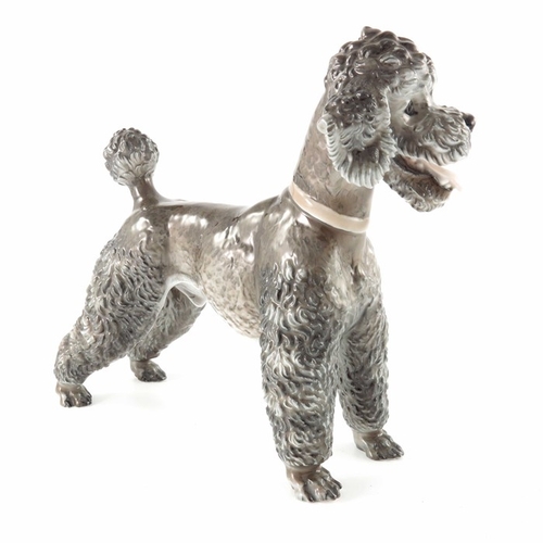 599 - Theodor Karner for Rosenthal, a figure of a poodle, impressed and printed marks 1211, 20cm high